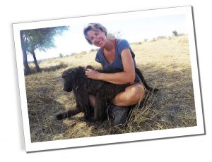 A woman smiling sitting cross legged on shady ground stroking a Baboon 