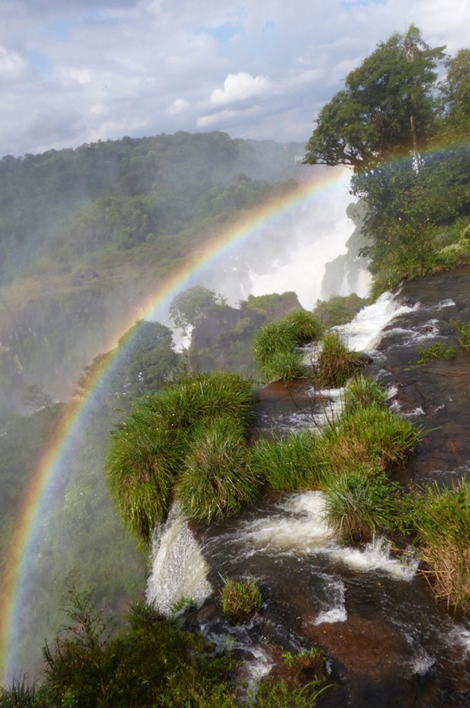 A rainbow arcs across the grass and tree covered waterfalls of the Upper Circuit, Iguazu Falls, Argentina