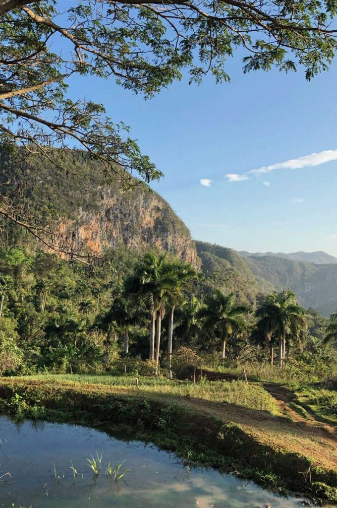 A tranquil tropical lagoon in a mountainous setting with palm trees on a bright sunny day