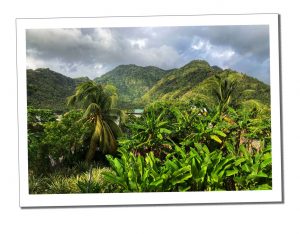 Top Tips for Driving in St Lucia