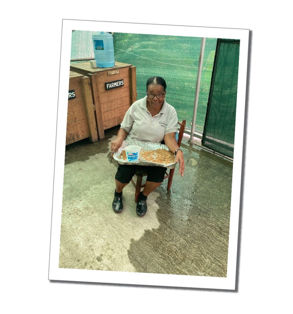 A Woman sitting in a green house with a silver tray with chocolate samples on it
