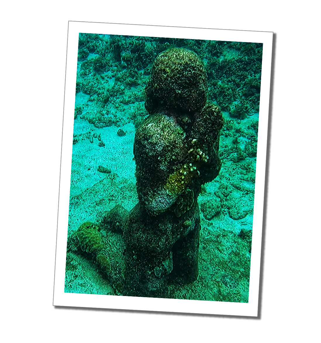 Diving the Molinere Underwater Sculpture Park, Grenada Sue Where Why What