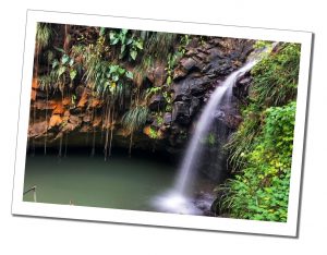 Your Ultimate Guide to the 7 Best Waterfalls in Grenada