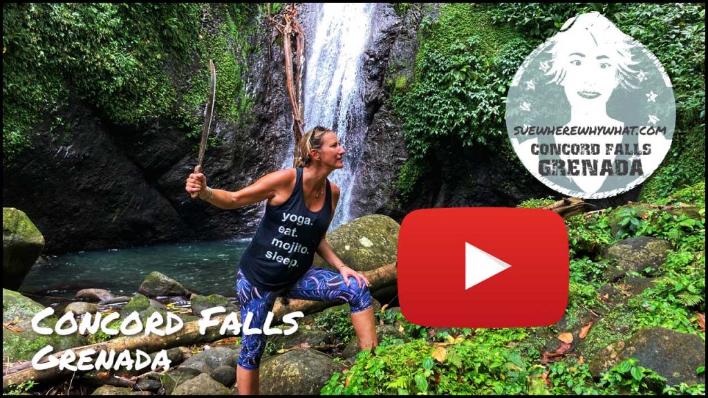 A blonde Woman in a black yoga vest, blue trousers and trainers posing with a machete in front of a small waterfall with a large red Youtube button