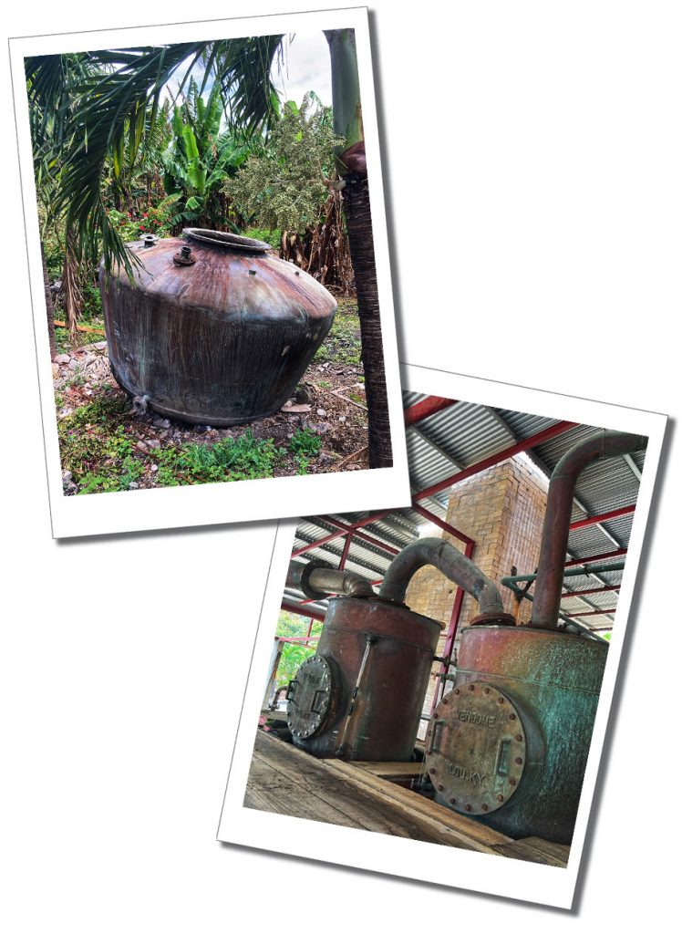 Giant rusty metal machinary set in a tropical landscape