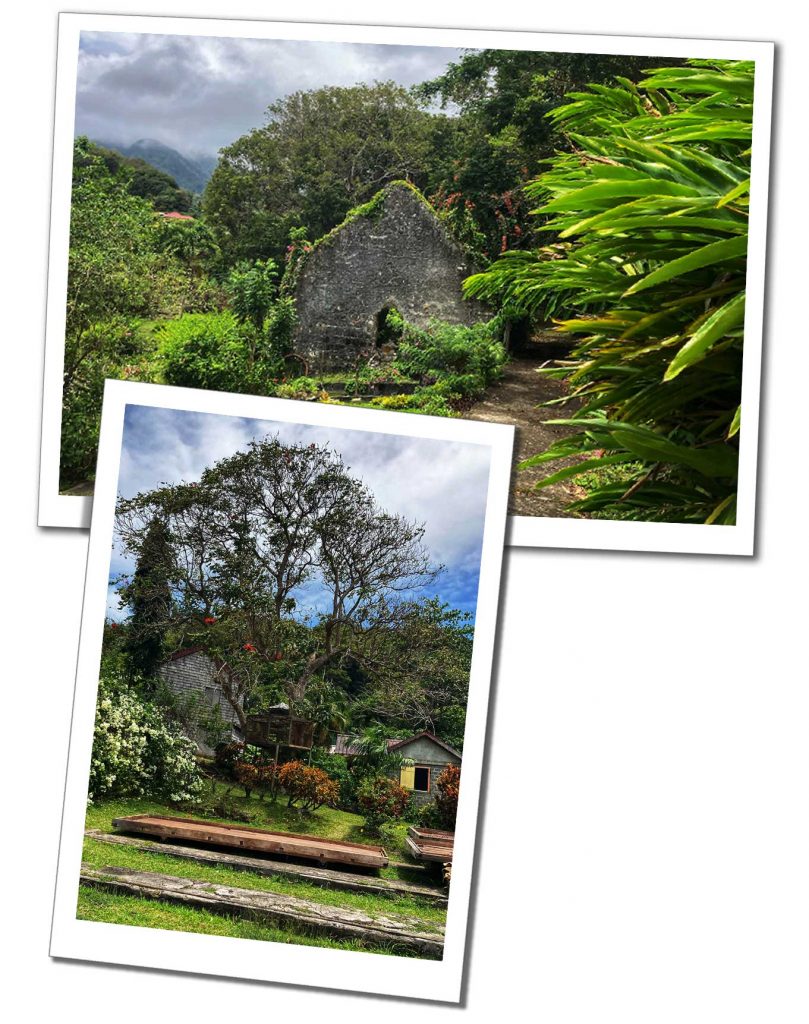 A ruined stone building in a tropical island setting and large wooden cocoa bean drying trays