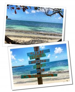 A wooden sign post on a tropical beach in the sunshine