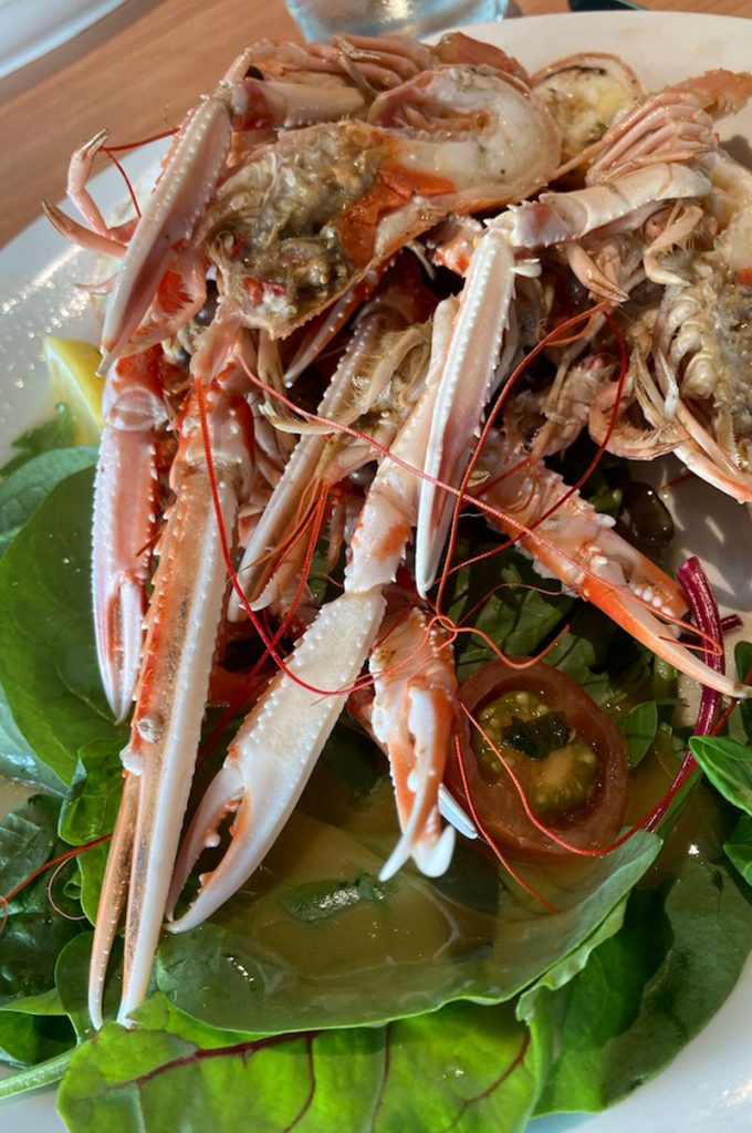 A large pile of Langoustines on a bed of lettuce