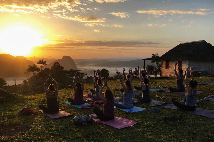 A group of people sitting on yoga matts on a flat area above palm trees doing yoga moves facing a dramatic yellow sunrise