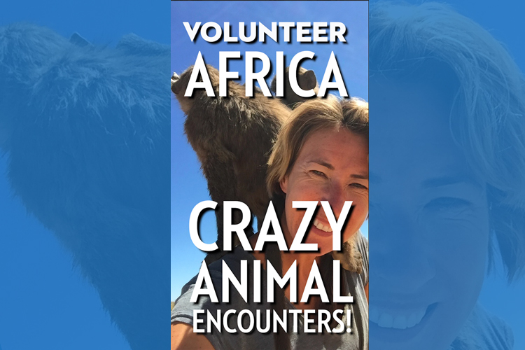 SueWhereWhyWhat & Baboon, N/a'ankuse, Namibia, Africa